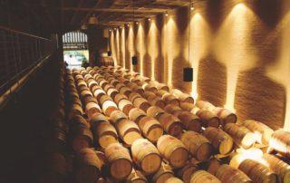 Export von Südafrikanischen Weinen 2019