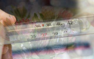 Coronavirus, die ProWein 2020 auf unbestimmte Zeit verschoben