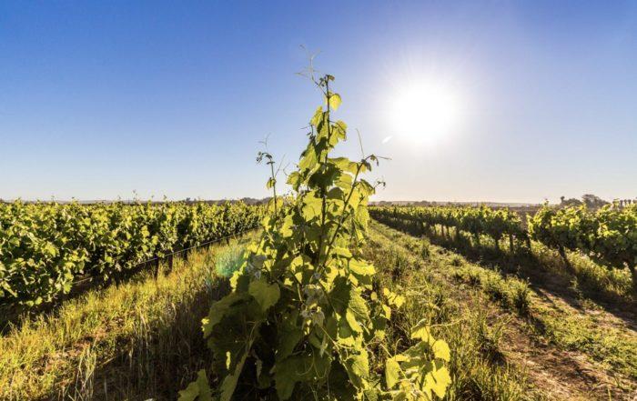 Ökologie – mehr als nur „schöne Landschaft“