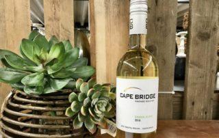 Chenin Blanc– Südafrikas Weißweinsorte Nummer 1!