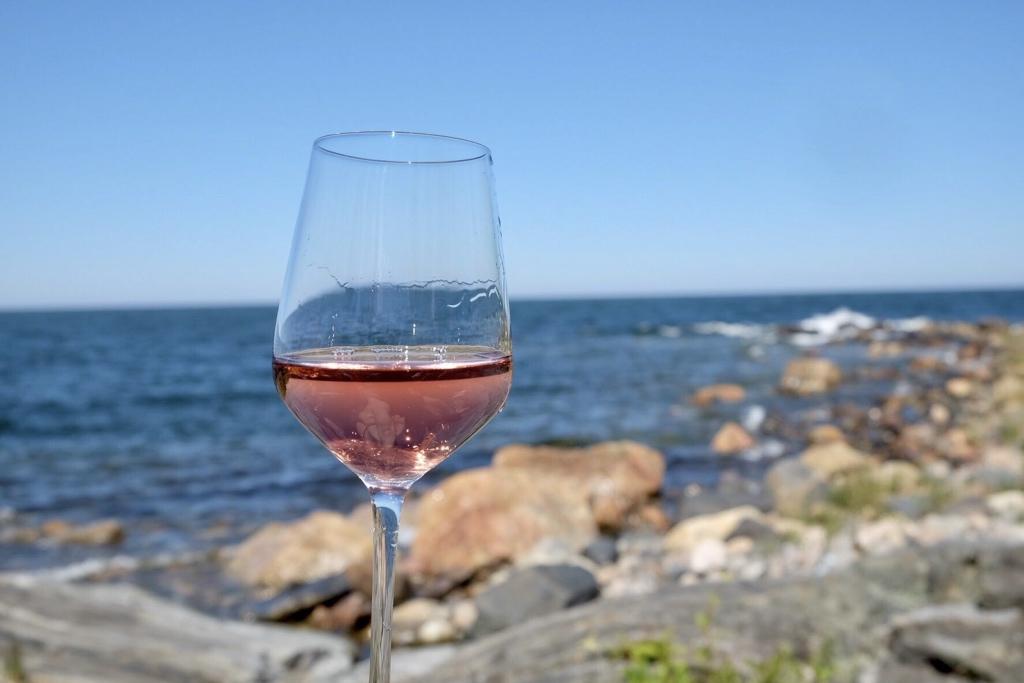 Rosé – Ein Sommertraum
