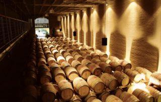 Südafrika stoppt Weinexporte