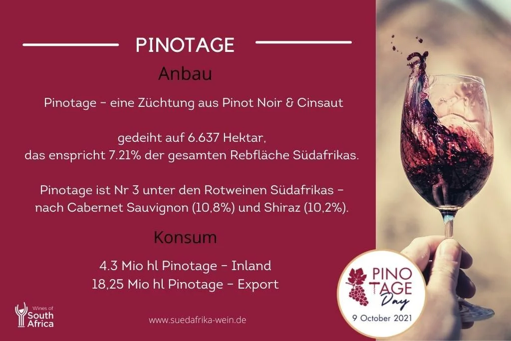 Pinotage – Südafrikas einzigartige Rotweinsorte – eine spannende  Geschichte, die noch nicht zu Ende ist... - Südafrika-Weininformation