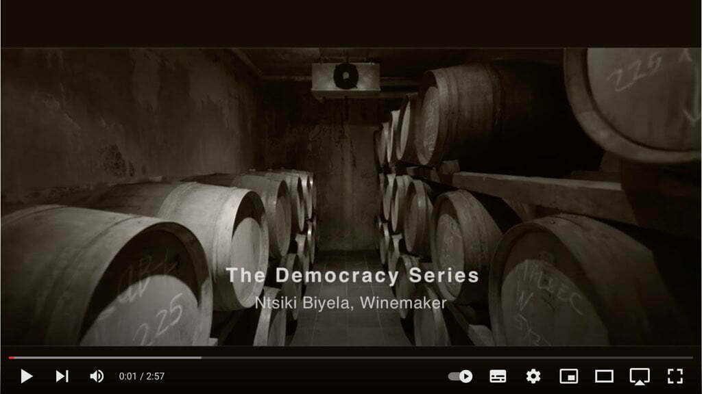 The Democracy Series - Ntsiki Biyela