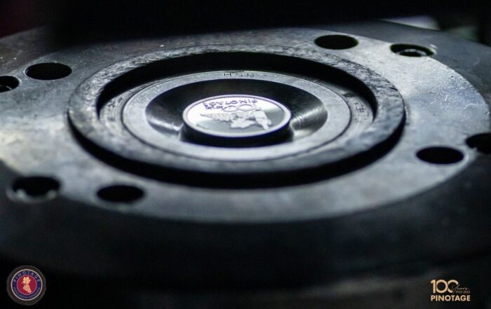 Detailaufnahme der Pinotage Centenary Medallion in der Prägeform bei The Cape Mint.
