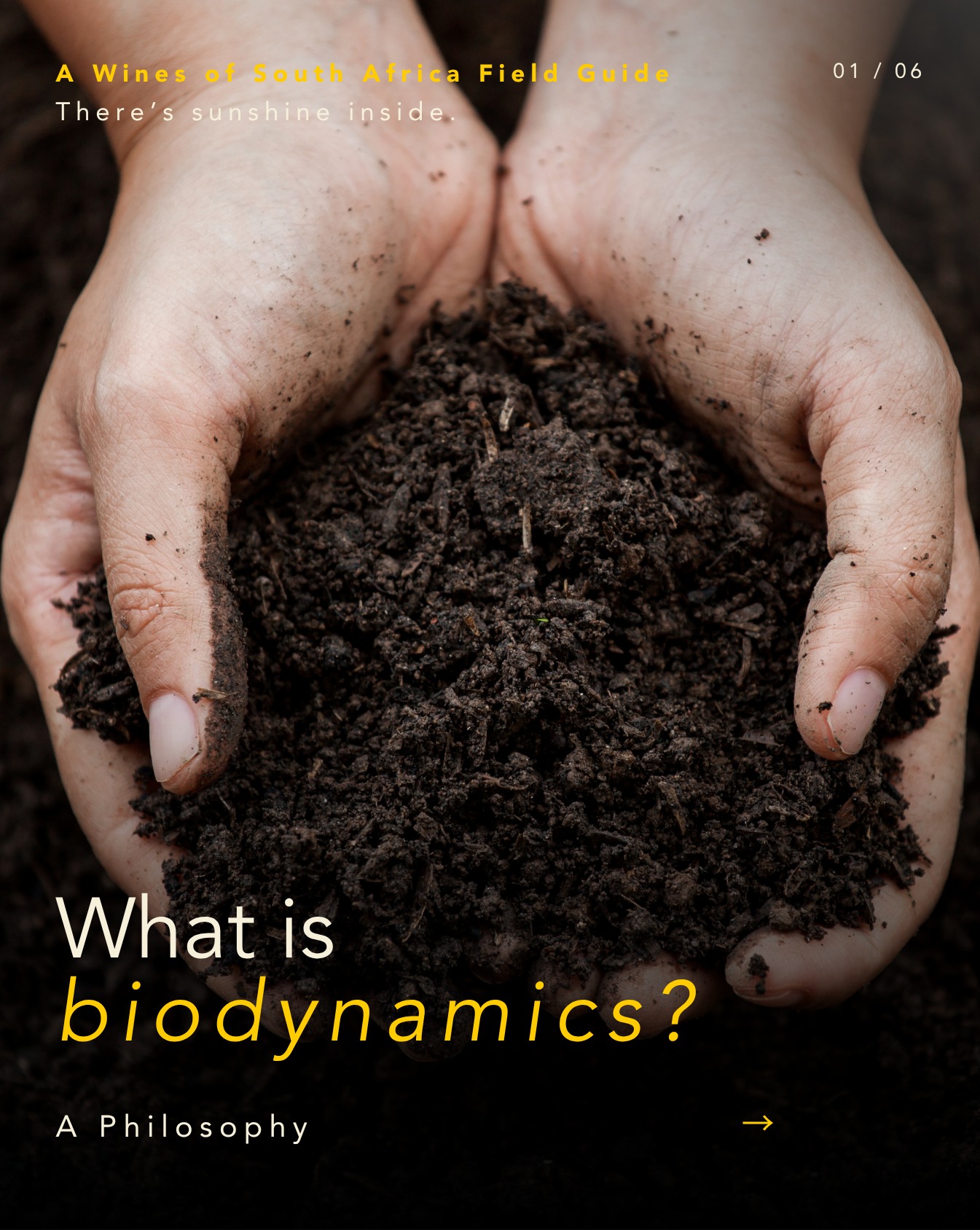 Biodynamisch – Schlagwort oder echte Überzeugung? Immer mehr südafrikanische Spitzenweine tragen diesen Begriff auf dem…