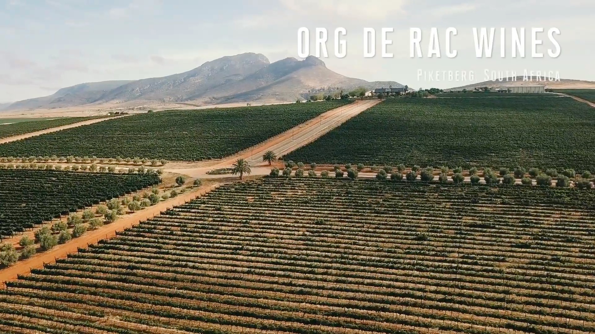 Während viele Weingüter den Weg zum biologischen Weinbau erst heute einschlagen, wurde Org de Rac…